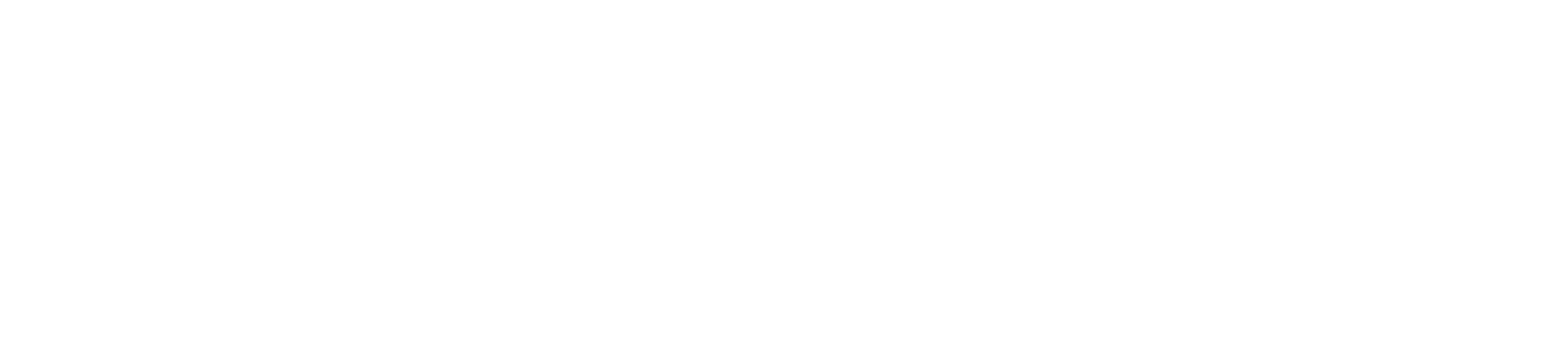 Logotipo Branco PortugalBus